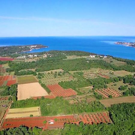 Appartamento Apartman Slavko Tar-Vabriga Esterno foto